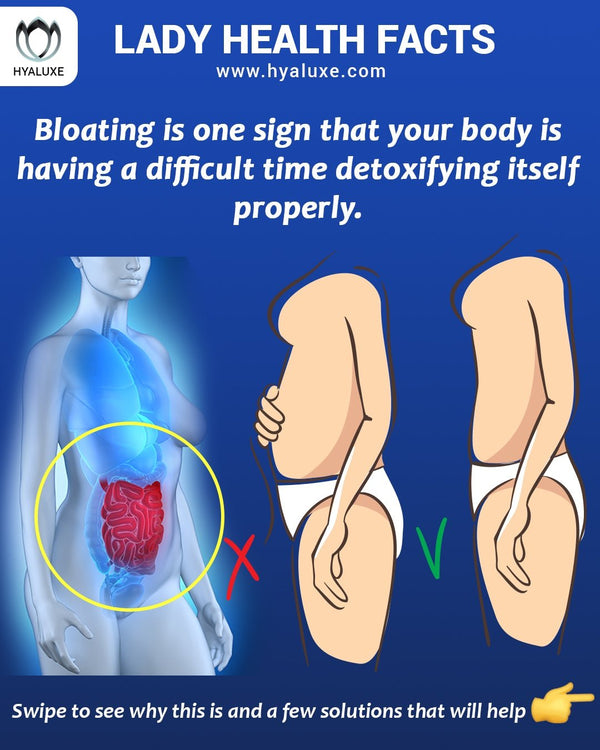 5 Signs that Your body NEEDS help : BLOAT is #1