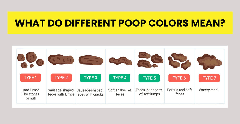 What does the color of your poop mean? – Hyaluxe Body